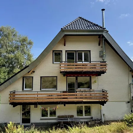 Дом отдыха Treffpunkt Dachdeckerei - Ferienvilla,feldberg *