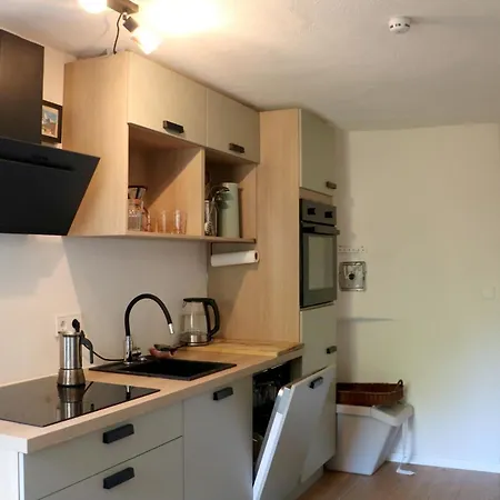 Feriehus Treffpunkt Dachdeckerei - Ferienvilla,feldberg Feldberg (Baden-Wurttemberg)