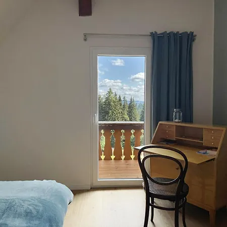 Treffpunkt Dachdeckerei - Ferienvilla,feldberg *