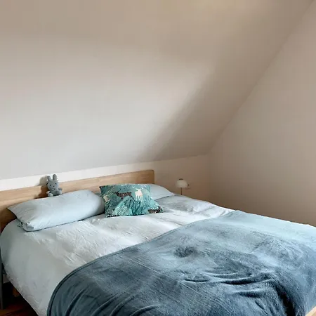 Дом отдыха Treffpunkt Dachdeckerei - Ferienvilla,feldberg *