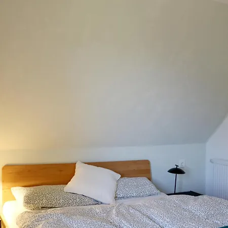 Treffpunkt Dachdeckerei - Ferienvilla,feldberg * Feldberg (Baden-Wurttemberg)