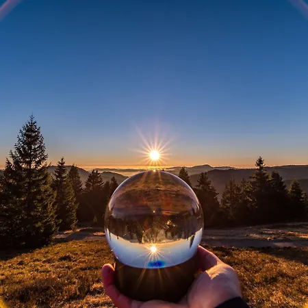 Feriehus Treffpunkt Dachdeckerei - Ferienvilla,feldberg *
