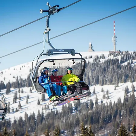 Treffpunkt Dachdeckerei - Ferienvilla,feldberg Дом отдыха *