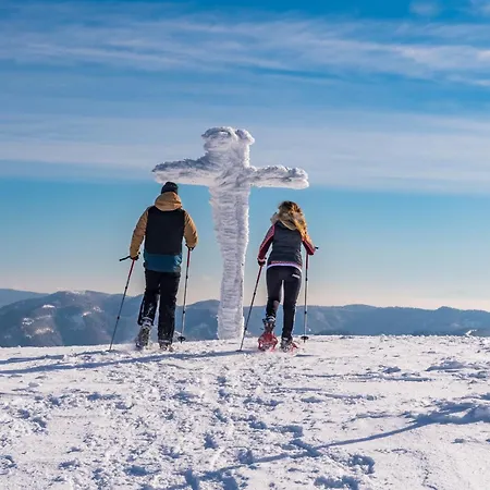 Feriehus Treffpunkt Dachdeckerei - Ferienvilla,feldberg *
