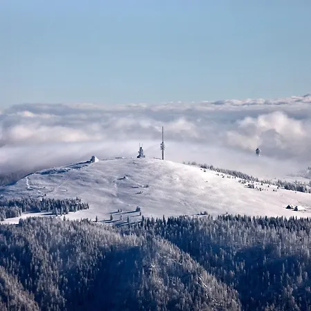 Дом отдыха Treffpunkt Dachdeckerei - Ferienvilla,feldberg